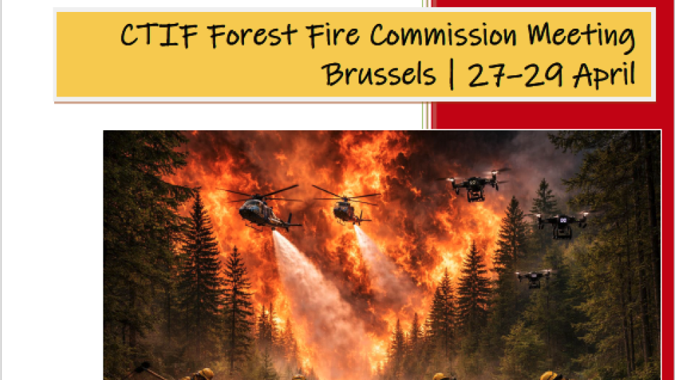 Screenshot of the program folder. 