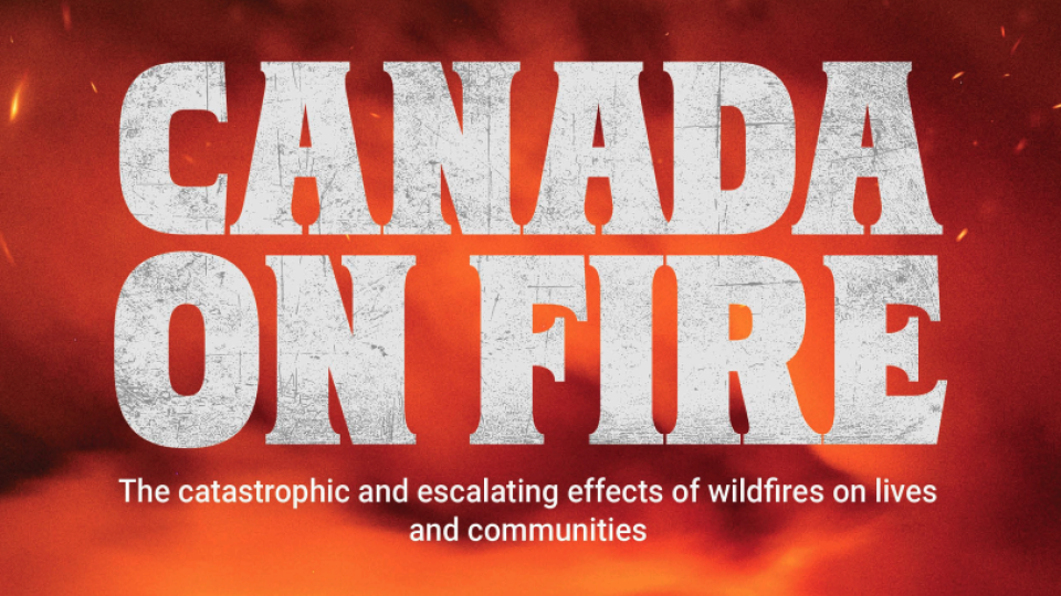 Screenshot of the front cover of the report