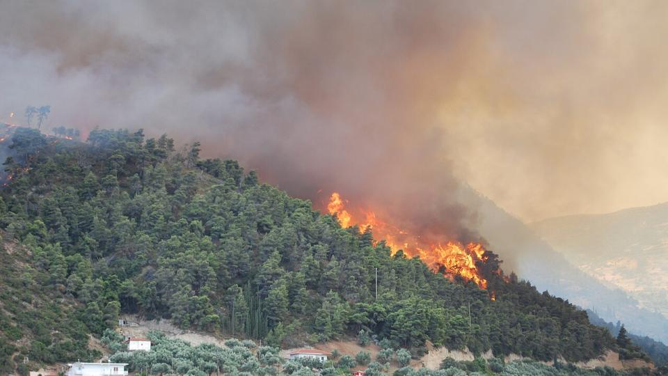 Fire burning down the side of a hill in Greece Date	18 July 2007 Source	https://www.flickr.com/photos/66012345@N00/964251167/ Author	Lotus R