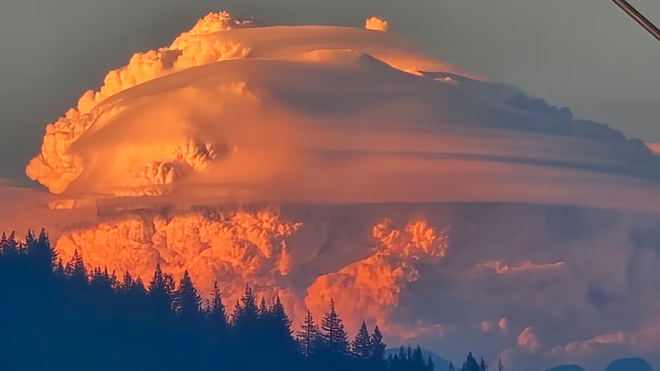 Pyrocumulus clouds, seen from Coquitlam, B.C., are pictured forming above the Boston Bar wildfire on July 21. (Submitted to the CBC.ca by @Brad604/X) 